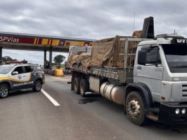 Queda de roubos de carga no interior de SP pode impactar região de Presidente Prudente