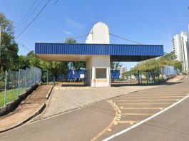 Fundo Social garante 450 castrações gratuitas para famílias de baixa renda e entidades em Prudente