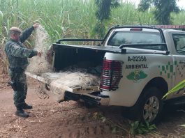 Polícia Ambiental apreende redes de pesca em área proibida no Rio Aguapeí