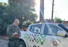 Moradora é flagrada com aves silvestres em cativeiro e leva multa de R$ 3 mil em Prudente