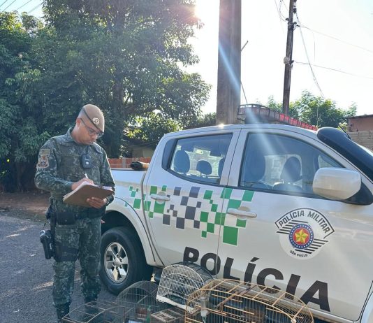 Moradora é flagrada com aves silvestres em cativeiro e leva multa de R$ 3 mil em Prudente
