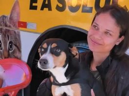 Fundo Social viabiliza 450 castrações gratuitas a entidades e pessoas de baixa renda