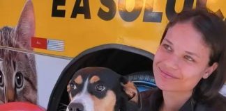 Fundo Social viabiliza 450 castrações gratuitas a entidades e pessoas de baixa renda