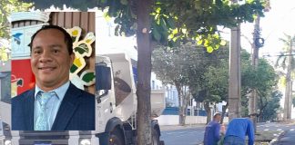 Após pedido do vereador Edu da Padaria Semea realiza poda de árvores na avenida Washington Luiz