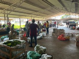 Entidades assistenciais recebem 2,7 toneladas de hortifrutis