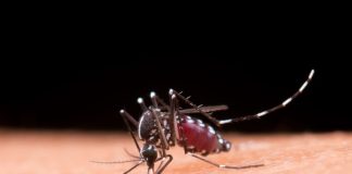 Morte suspeita de dengue é descartada em Tupi Paulista