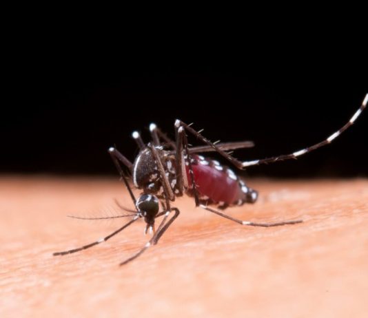 Morte suspeita de dengue é descartada em Tupi Paulista
