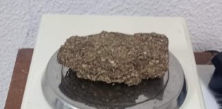 Mulher é presa ao tentar entrar com droga escondida em cobertor em delegacia de Presidente Prudente