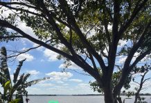 Homem morre após cair de barco no Rio Paranapanema em Teodoro Sampaio