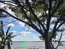 Homem morre após cair de barco no Rio Paranapanema em Teodoro Sampaio