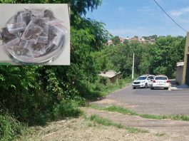 Homem é baleado após tentar pegar arma de policial e é preso com drogas em Presidente Prudente