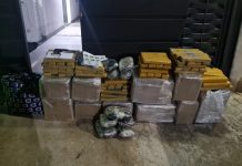 Pintor é preso com mais de 526 quilos de maconha e skunk em Presidente Prudente