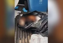 Polícia Ambiental investiga abandono de cachorro encontrado dentro de saco de lixo em Prudente