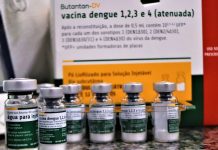 Prudente amplia vacinação contra dengue para profissionais da saúde e pessoas de 59 anos