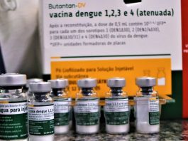 Prudente amplia vacinação contra dengue para profissionais da saúde e pessoas de 59 anos