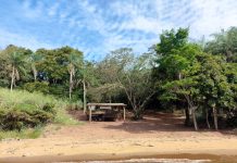 Área de preservação é alvo de intervenção irregular e gera multa de R$ 5,6 mil em Rosana