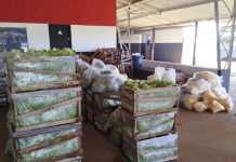 Agricultura familiar garante 3,1 toneladas de alimentos para entidades assistenciais de Prudente