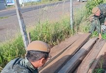Empresa de Adamantina recebe multa de mais de R$ 3 mil por irregularidade com madeira