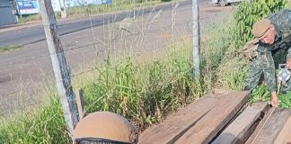 Empresa de Adamantina recebe multa de mais de R$ 3 mil por irregularidade com madeira