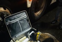 8º BAEP prende criminoso por tráfico de drogas em ônibus interestadual em Presidente Bernardes