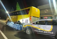 Polícia Rodoviária apreende mais de 330 quilos de folhas de cocaína e carga de narguilé em Regente Feijó