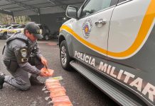Polícia Rodoviária e FICCO apreendem droga avaliada em R$ 556 mil na Raposo Tavares