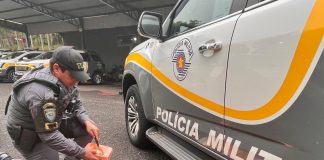 Polícia Rodoviária e FICCO apreendem droga avaliada em R$ 556 mil na Raposo Tavares