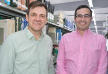 Professores da Unoeste de Presidente Prudente entram para grupo seleto de revista científica internacional