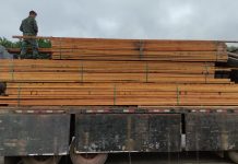 Motorista e empresa são multados em mais de R$ 32 mil por transporte irregular de madeira em Presidente Venceslau