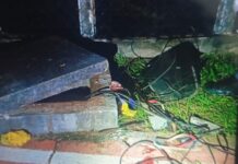 Homem é preso após tentar furtar fios e ameaçar caseiro com ferramenta em Presidente Prudente