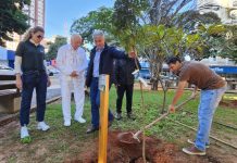 Grupo Athia inicia plantio de 100 árvores no Dia Mundial do Meio Ambiente