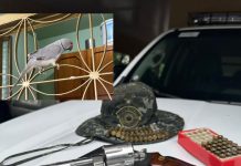 Sitiante é multado em R$ 2,2 mil e detido por posse irregular de arma em Regente Feijó