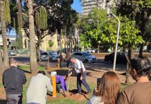 Plantios e mudas marcam encerramento da Semana do Meio Ambiente