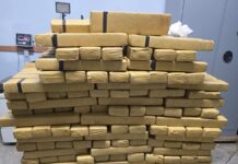 Jovem de 18 anos é preso após polícia localizar quase 600 quilos de maconha em chácara de Presidente Prudente