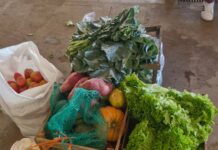 PAA distribui 2,8 toneladas de alimentos para 25 entidades em Presidente Prudente