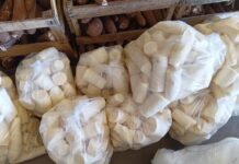 Agricultura familiar garante 2,7 toneladas de alimentos para 25 entidades de Presidente Prudente