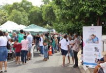 Sua Vida Melhor Ainda tem edição especial nesta quarta-feira com feira de adoção de animais