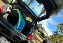 Motorista é preso com quase 31 kg de skunk em rodovia de Mirante do Paranapanema