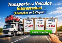 Mudança para outra cidade com pet, carro e frota de trabalho: como coordenar operações simultâneas sem colapsar o cronograma