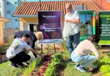 Moradores da Vila Dignidade colhem primeiras hortaliças de projeto agroecológico em Presidente Prudente