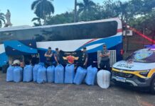 Polícia Rodoviária encontra 252 kg de folhas de coca com boliviana em ônibus na Raposo Tavares