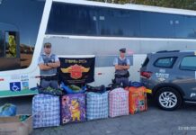Polícia Rodoviária apreende mais de 133 kg de folhas de coca em ônibus na Raposo Tavares, em Prudente