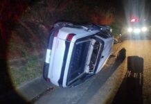 Acidente envolvendo moto, carro e boi deixa três feridos e animal morto em Regente Feijó