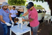 UVZ amplia atendimento para diagnóstico de leishmaniose em bairros de Presidente Prudente