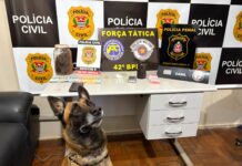 Operação policial prende dois homens por tráfico de drogas em Teodoro Sampaio