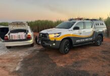 Contrabandista prudentino é preso com mais de 17 mil maços de cigarros a 80 Km de Prudente