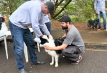 Zoonose anuncia projeto itinerante de chipagem e vacinações em vários bairros em setembro