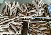 PAA distribui 576,5 kg de alimentos para entidades de Presidente Prudente