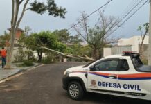 Vendaval derruba árvores e postes causando falta de energia em Presidente Prudente