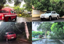Temporal causa queda de árvores, destelha imóveis e cancela sessão da Câmara em Teodoro Sampaio
